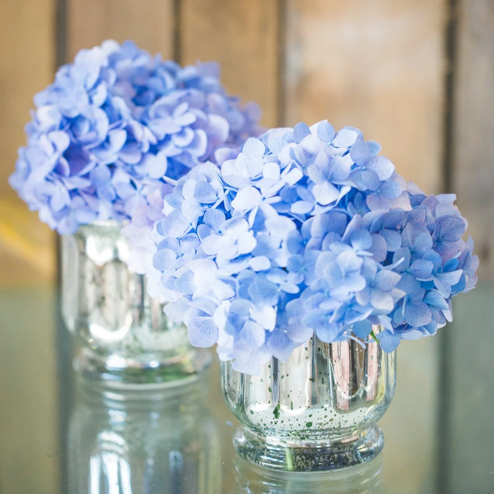 Richland Mercury Venus Jar Silver Set Of 12 5 Richland Mercury Venus Jar Silver Set Of 12 - Image 3