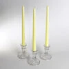 Richland Taper Candles 12" Ivory Set Of 50 -Candle Decorations 1386 2603 2 4707f4c1 2d03 4a69 98b3 630055700d55