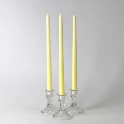 Richland Taper Candles 14" Ivory Set Of 10