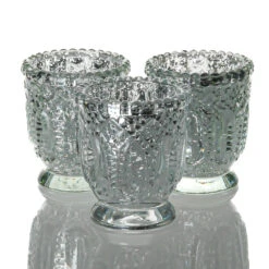 Richland Holder Royal Mercury Petite Silver Set Of 48