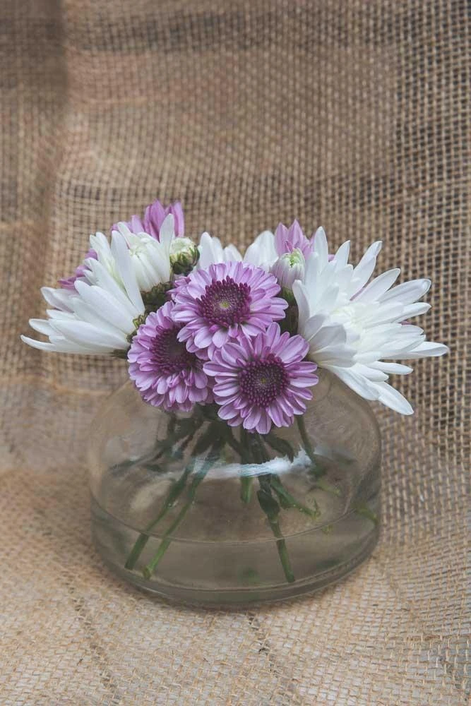 Richland Etta Vase Set Of 48 5 Richland Etta Vase Set Of 48 - Image 3