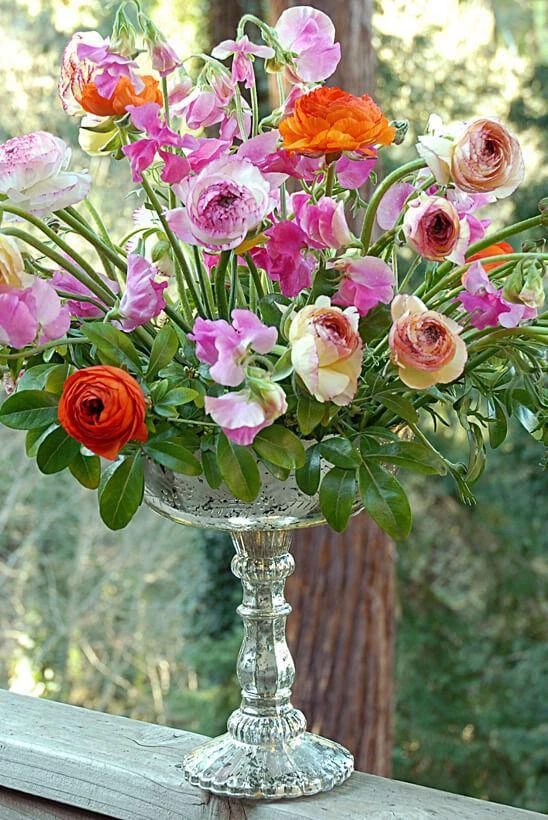 Desiray Glass Compote 9" X 8" Silver 4 Desiray Glass Compote 9" X 8" Silver - Image 2