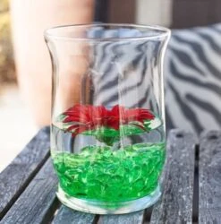 Eastland Adorn Hurricane Vase 6" Set Of 4 11 Eastland Adorn Hurricane Vase 6" Set Of 4 -Candle Decorations 2701 7e2250fa 04de 4270 b48a 018644b9db2d