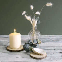 8 Basswood Branch Rounds 3.5in-5in Natural -Candle Decorations 3921 7561 110c5d94 6089 4d2f 81c5 b3f2b2b0078d
