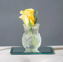 Eastland Square Mirror Coaster 5" Set Of 72 -Candle Decorations 5insquare cce3bd73 e3d0 478a 9911 61173b873529