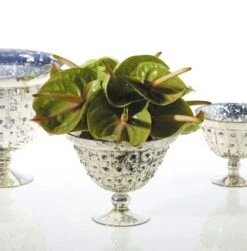 Baleri Glass Compote Bowl 8'' X 6'' -Candle Decorations 84230605791c