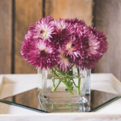 Richland Square Glass Cube Vase 5" Set Of 12 -Candle Decorations 967a0145 1