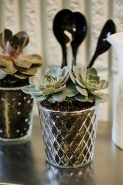 Richland Tipper Vase & Candle Holder Set Of 24 7 Richland Tipper Vase & Candle Holder Set Of 24 -Candle Decorations 967a6703