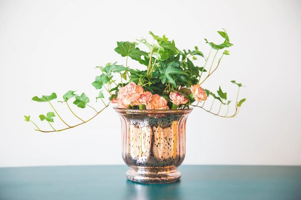 Richland Mercury Venus Jar Rose Gold Set Of 12 4 Richland Mercury Venus Jar Rose Gold Set Of 12 - Image 2