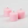 Richland Votive Candles Pink Gardenia Scented 10 Hour Set Of 288 -Candle Decorations MG 8775 2000x 5768c6f0 26e0 4da1 882d aed6a0aabf72