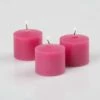 Richland Votive Candles Unscented Hot Pink 10 Hour Set Of 288