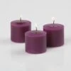 Richland Votive Candles Purple Mulberry Scented 10 Hour Set Of 72 2 Richland Votive Candles Purple Mulberry Scented 10 Hour Set Of 72 -Candle Decorations MG 8802 large 2000x 71e20679 99dc 410f 8522 2241bf5a0062