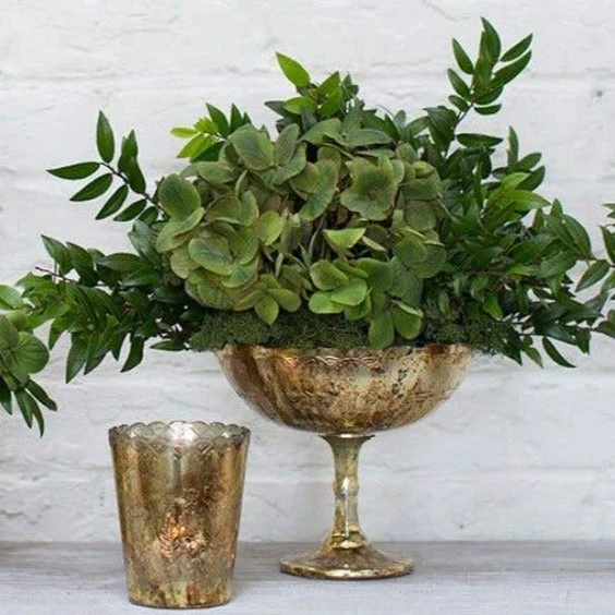 Desiray Glass Compote 7" X 8" Gold 5 Desiray Glass Compote 7" X 8" Gold - Image 3