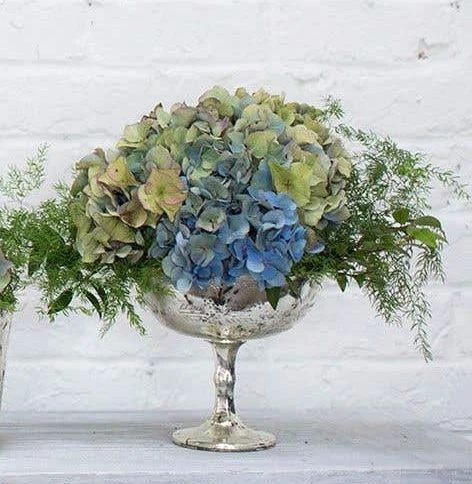 Desiray Glass Compote 6.75" X 8" Silver 4 Desiray Glass Compote 6.75" X 8" Silver - Image 2