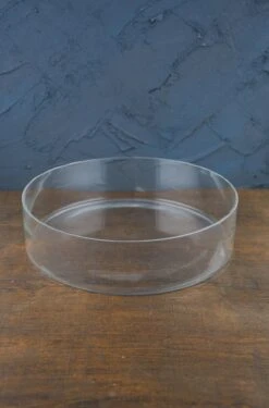 Clear Glass Round Terrarium Dish 3" X 12"