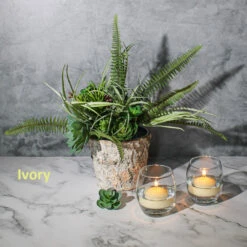 Eastland Grande Hurricane Holders & Richland Floating Candles 2" Set Of 24 -Candle Decorations ivoryfloat