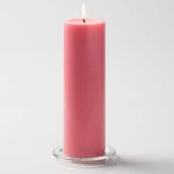 Richland Pillar Candles 3"x9" Pink Set Of 12
